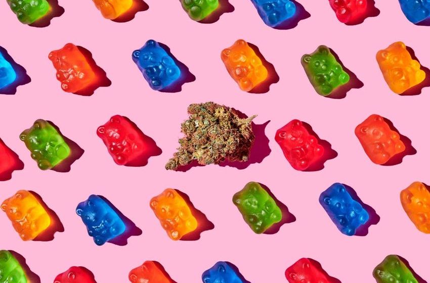  Vaping vs edibles: How does the way we use cannabis alter its effects?