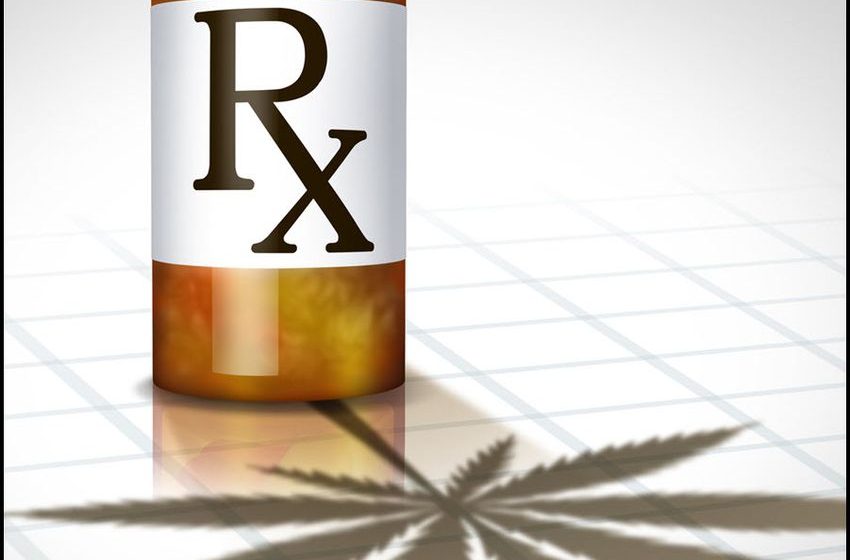  Complimentary Cannabis Meds? – The Changing View of Cannabis in Modern Medicine and Holistic Health