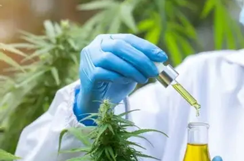  Federal Agency Announces New Cannabis Research Center To Alleviate Study Barriers, Regulatory Hurdles