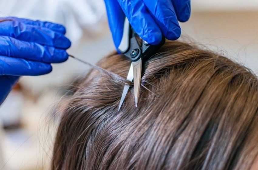  How To Pass A Hair Follicle Drug Test | Best Products 2024