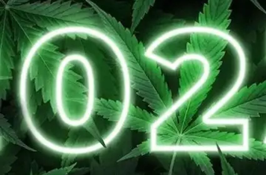  2023 Cannabis Year In Review: NORML’s Top Ten Events In Marijuana Policy