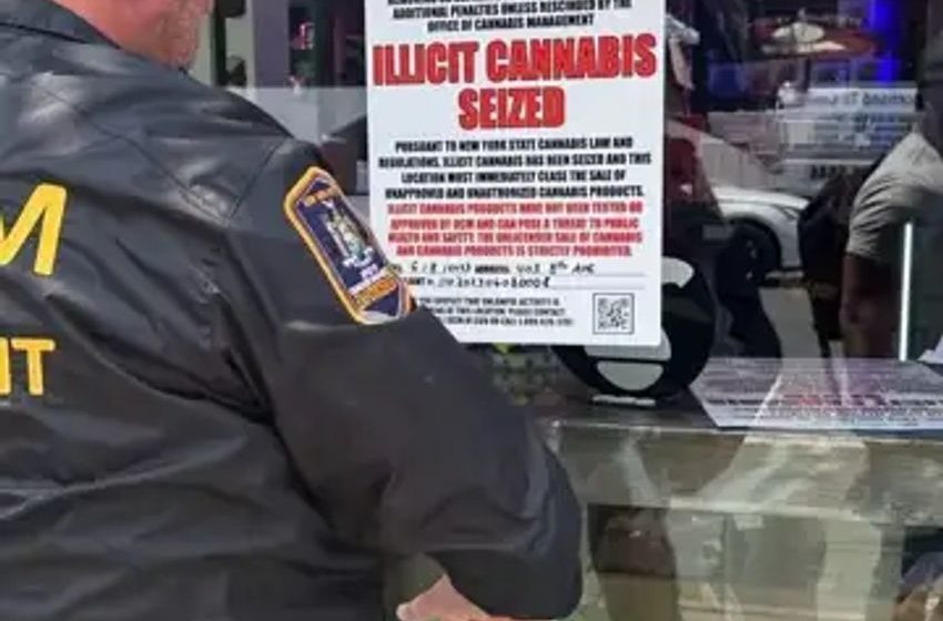 New York Cannabis Cops Seized $54M In Illicit Weed From Unlicensed Storefronts, Says Gov. Hochul