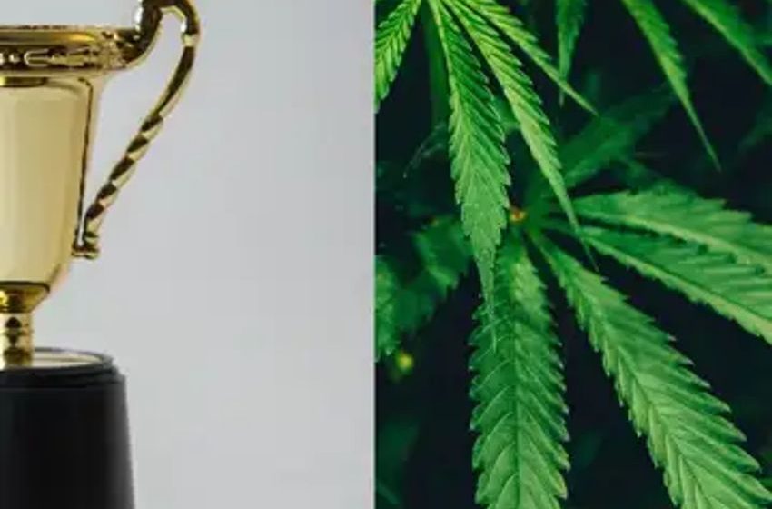  Last Prisoner Project Named Advocacy Group Of The Year And More Top Cannabis Awards On 2023 EMJAYS List