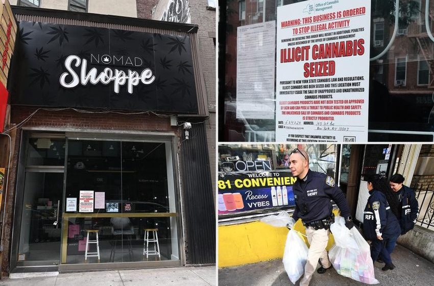 NY pot regulators boast $150M in legal cannabis sales as illegal marijuana stores rob state of millions in taxes