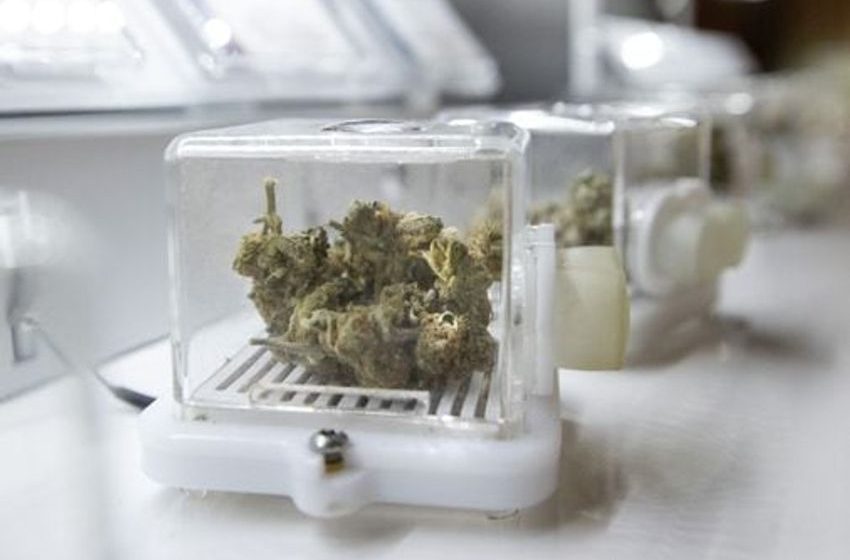 R.I. reaps millions in first year of recreational cannabis sales