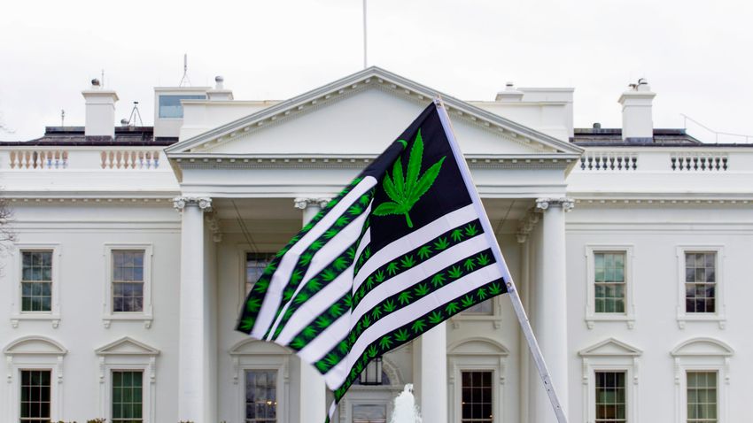 Biden pardons marijuana possession convictions; federal, D.C. crimes