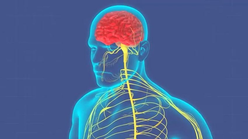  Got the POTS? It has nothing at all to do with cannabis. It’s actually a serious symptom that can result from even a mild Covid infections. Get vaccinted [PSA]