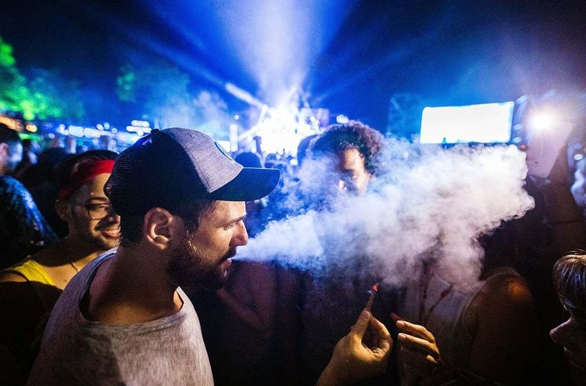 What cannabis does to your body and brain