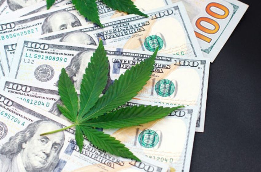  Cannabis Insurance Specialists See Optimism in 2024 Data, Planning for Growth and More Capacity