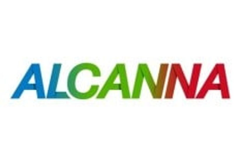 Alcanna (TSE:CLIQ) Stock Price Down 1.2%