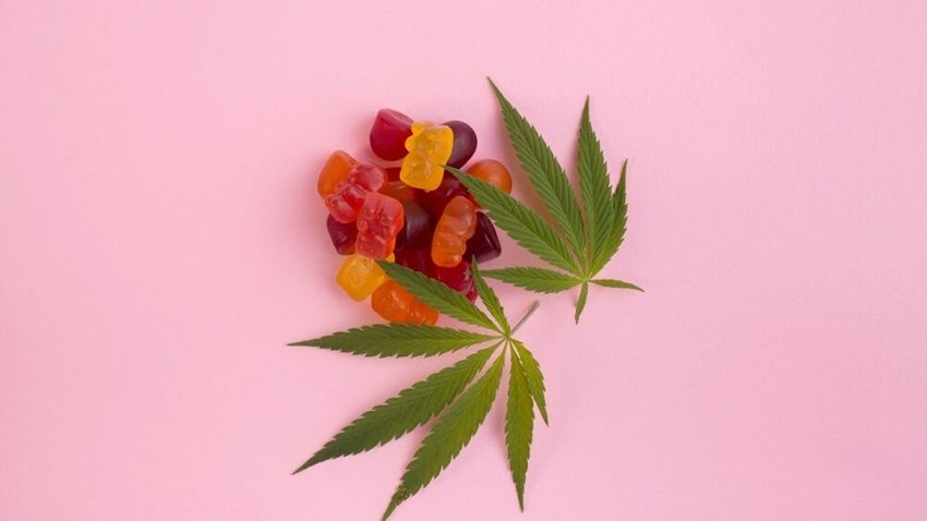  Growing concern: Data shows spike in cannabis-impaired driving on edibles in Ontario