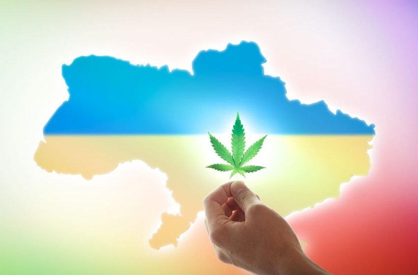  Ukraine Legalizes Medical Cannabis Amid War With Russia