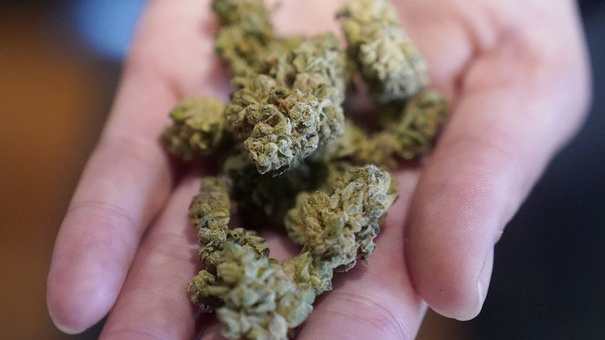  We want to be respectful of the voters but this cannabis thing really sticks in our craw [Obvious]