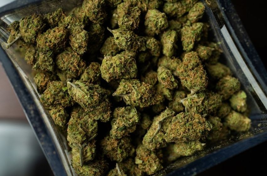  Burglaries at over 40 Denver-area marijuana dispensaries lead to charges for members of two organized crime groups