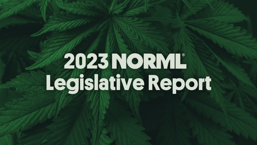  Read NORML’s 2023 End-of-Year Legislative Progress Report