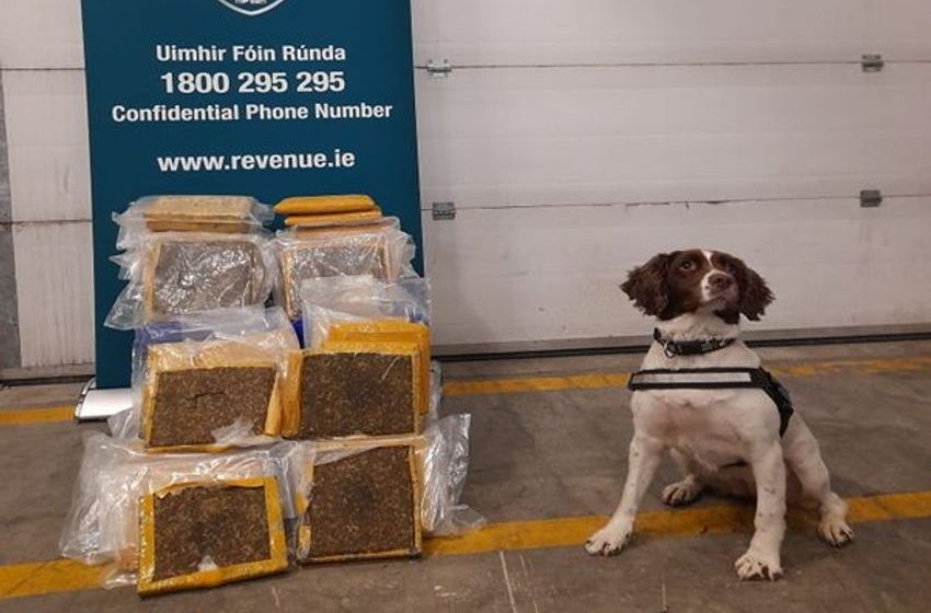  Revenue detector dog Waffle helps officials seize herbal cannabis worth €900k at Dublin Port