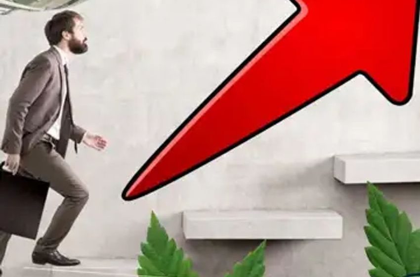 Latest Cannabis Hires: Three New CEOs And More