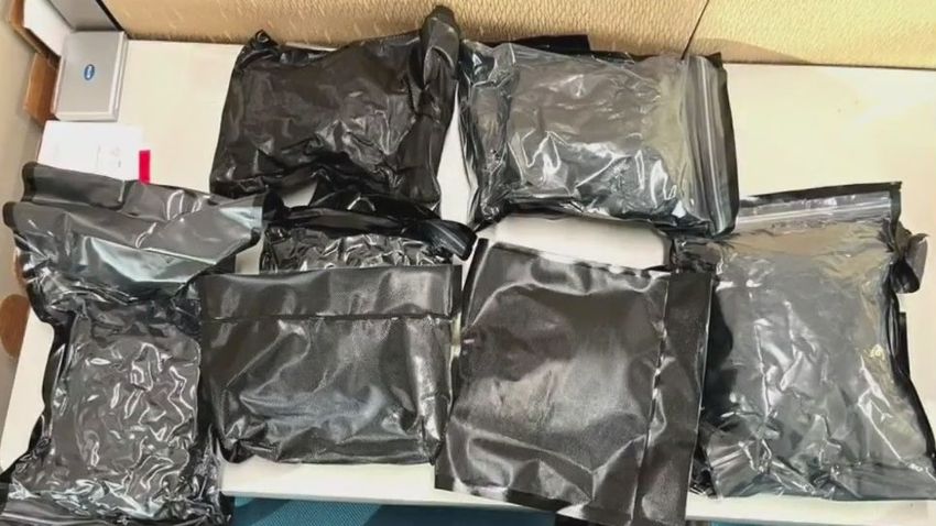  Drug arrest, 7+ pounds of marijuana seized