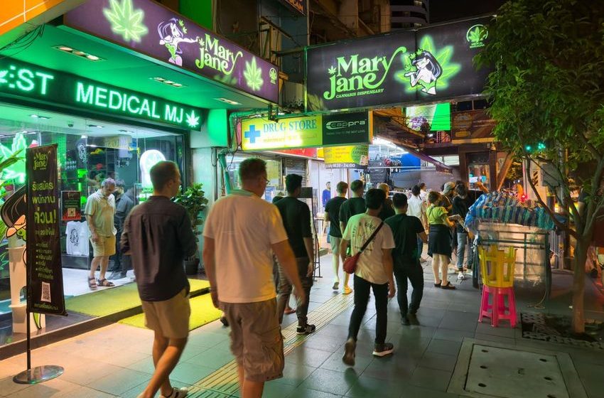Thailand’s New Government To Ban Cannabis For Recreational Use
