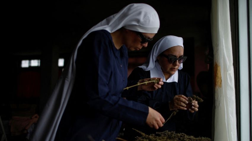  Mexican ‘Nuns’ Grow Cannabis