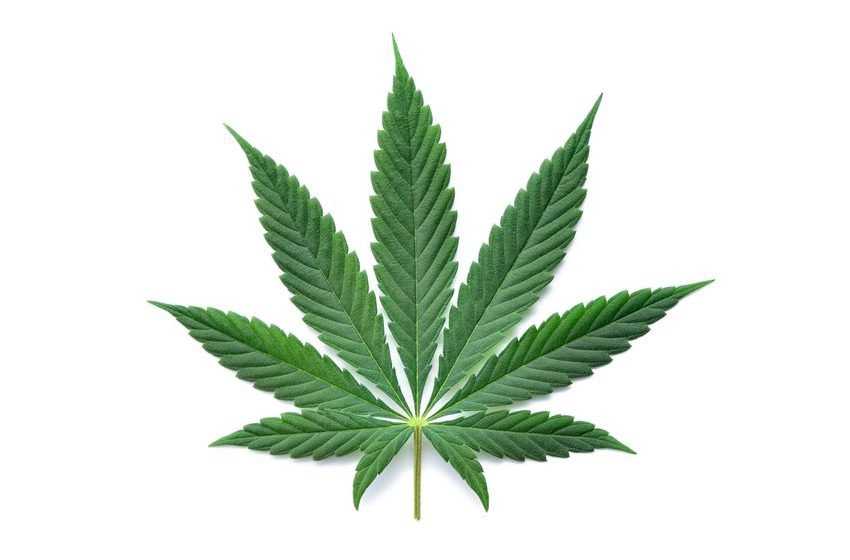  Wisconsin Assembly Republicans Introduce Limited Medical Marijuana Bill