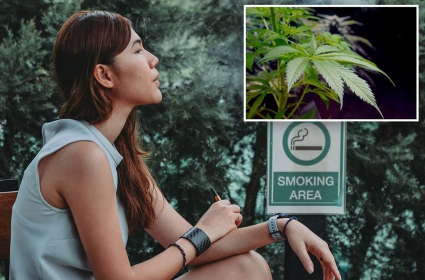 Federal scientists want to ease restrictions on marijuana, citing medical benefits