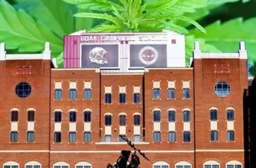 Florida GOP Representative Throws Wrench Into Proposed Cannabis Legalization Initiative With Bill To Cap THC Levels