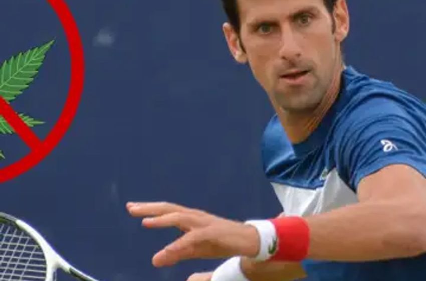  Djokovic And His Unexpected Rival: Smell Of Marijuana Invades Tennis Courts