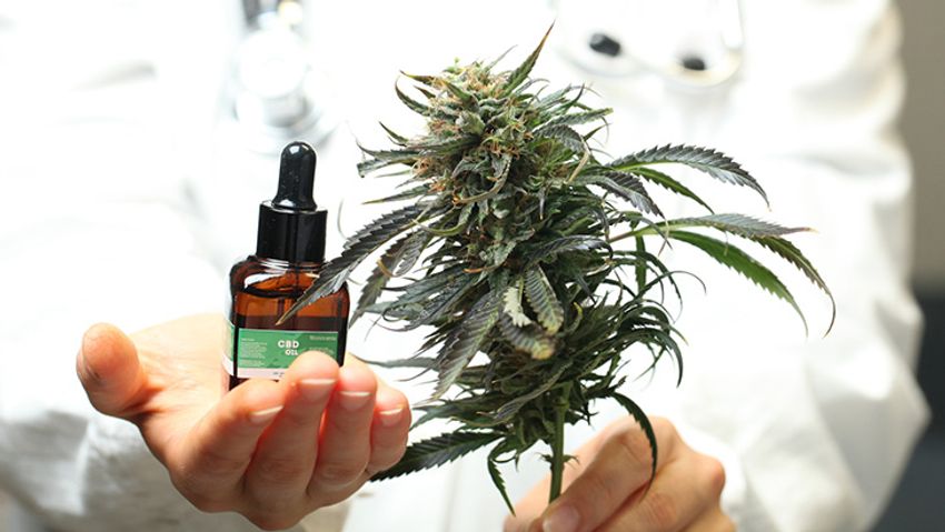  HHS Releases Unredacted Letter Confirming Agency’s Recommendation to DEA to Reclassify Marijuana to Schedule III