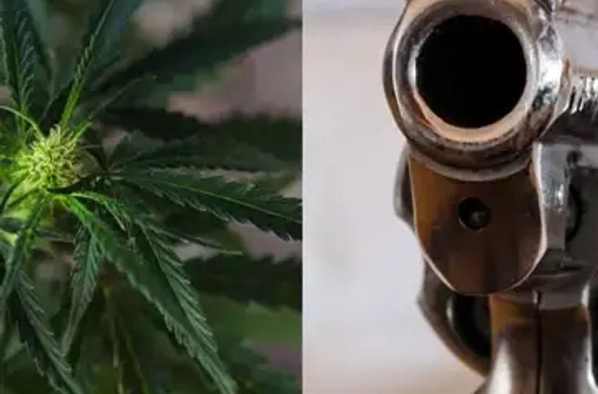  Guns And Weed: South Dakota House Passes Bill Forcing Cannabis Shops To Warn Customers Of Fed Firearms Ban