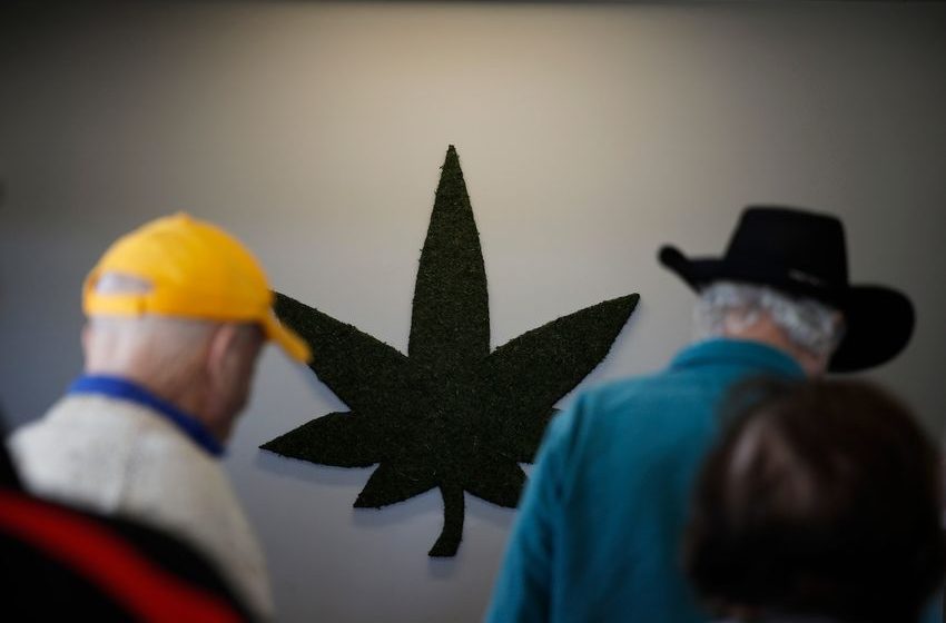 Seniors using marijuana face drug interactions, other side effects