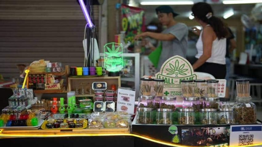  Thailand moves to ban recreational use of cannabis in setback for nascent industry