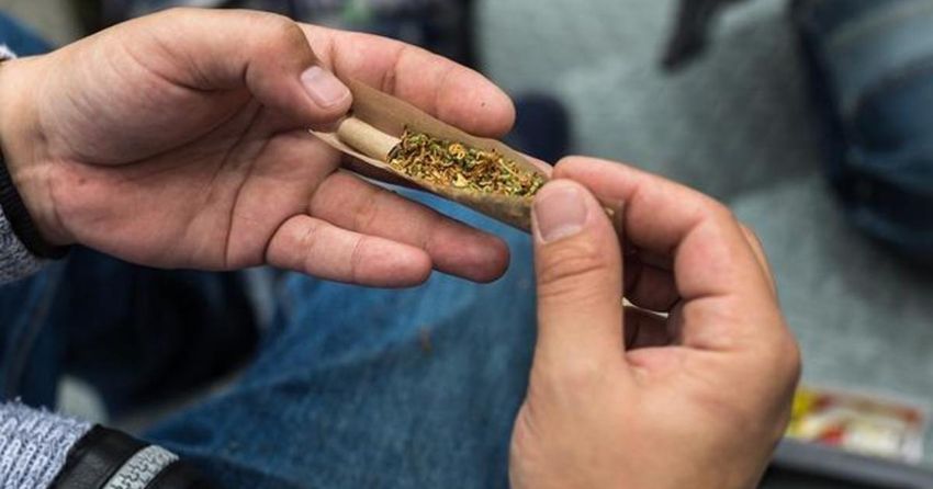  Higher rates of psychosis and other disorders linked to marijuana use, study finds