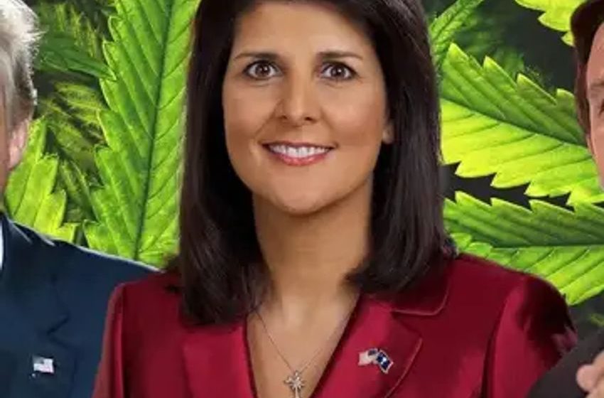  Donald Trump, Nikki Haley And Ron DeSantis: Where Do They Stand On Cannabis Legalization These Days?
