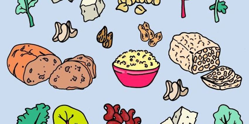  Your Go-To Guide For The Best Vegan Protein Sources