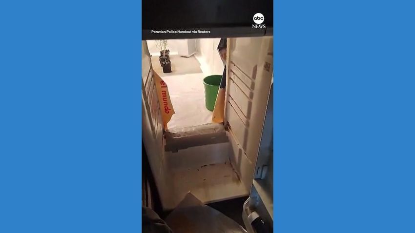  WATCH: Police find cannabis grow house hidden behind fridge