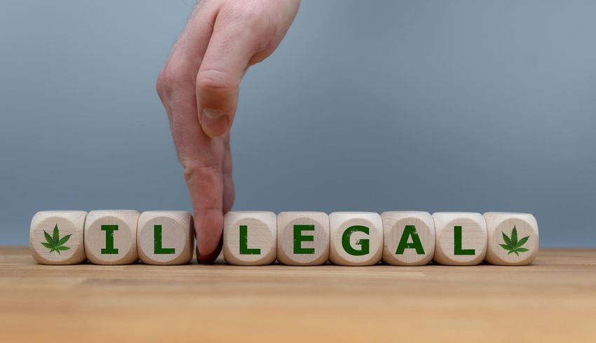 FDA Review Finds Marijuana Eligible For Less Strict Classification