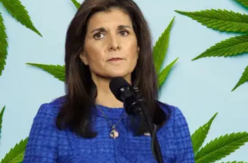 Nikki Haley And Cannabis: What Are Her Views On Marijuana Legalization?
