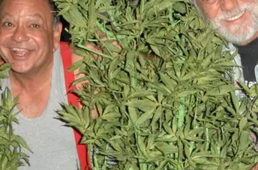 Cheech & Chong New York Cannabis Terpenes Cocktails Dry January