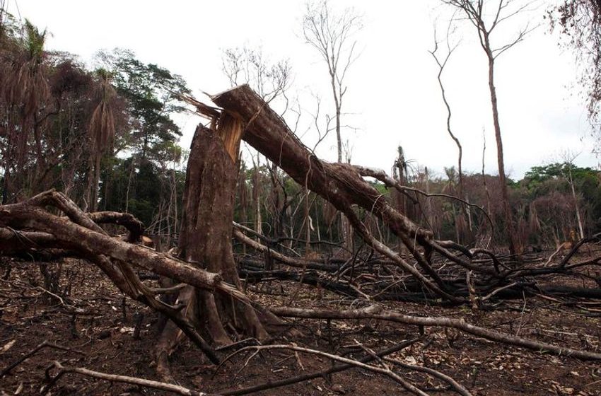  Sierra Leone’s capital under threat from deforestation, UN report says