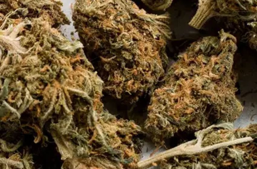  Reschedule Cannabis Or ‘Abolish The DEA,’ Says Physician: Examining The 50-Year-Old, Trillion-Dollar Agency