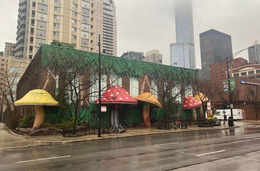 Rainforest Cafe Dispensary Plan Scrapped