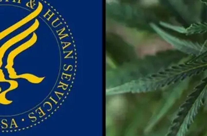  Feds Finally Release Documents Confirming Recommendation To Reschedule Cannabis Based On ‘Accepted Medical Use’