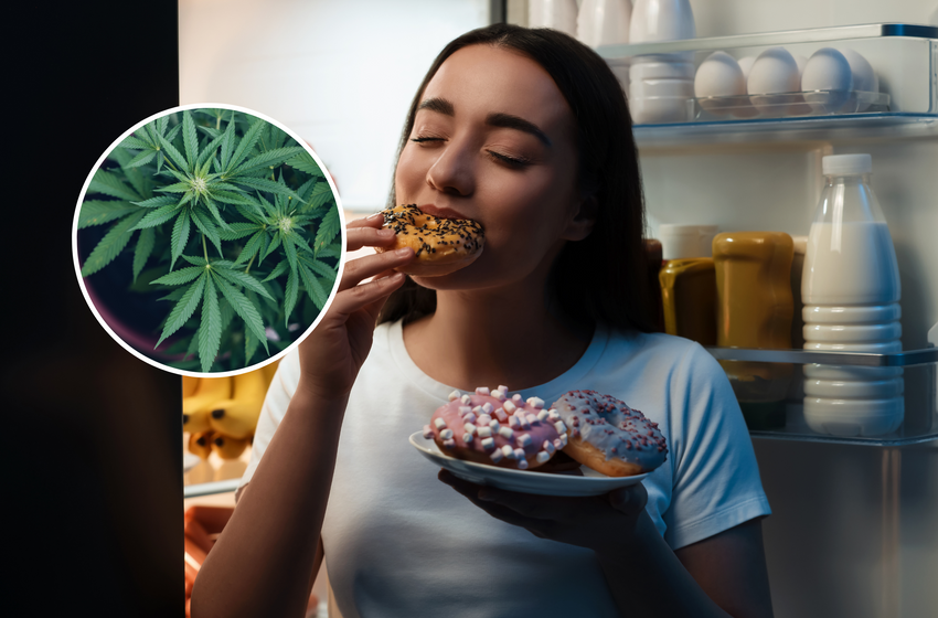  Scientists Reveal Why Marijuana Gives You the Munchies