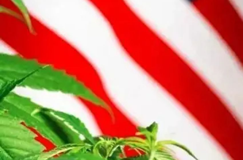  GOP State Senate Pres Pushes For Legalized Marijuana To Combat West Virginia’s Fentanyl Crisis