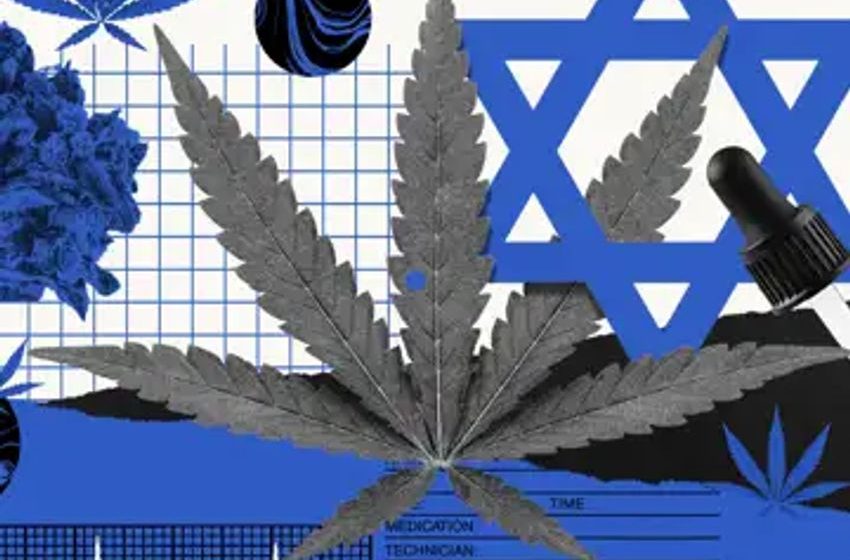  How Israel became the world leader in medical marijuana