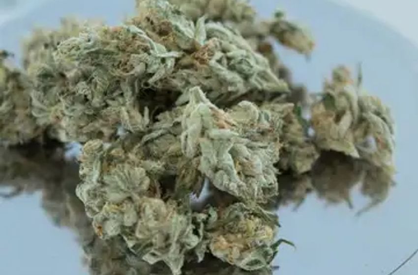  How To Microdose Marijuana: A Simple Guide