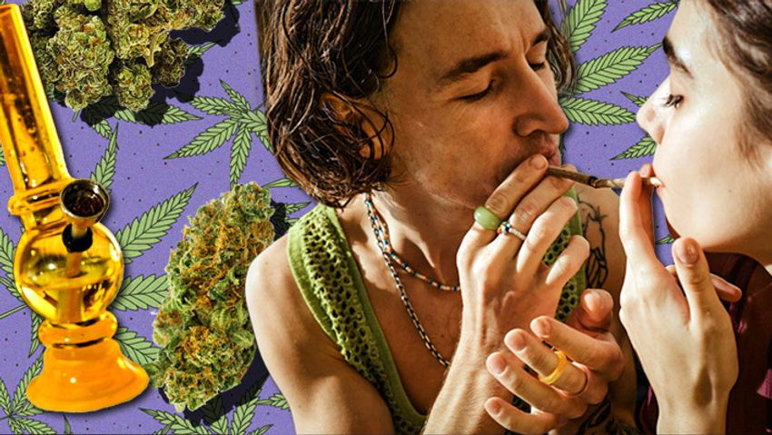 Here Are The Most Amazing Weed Strains To Come Out Of The Emerald Triangle’s Fall Harvest