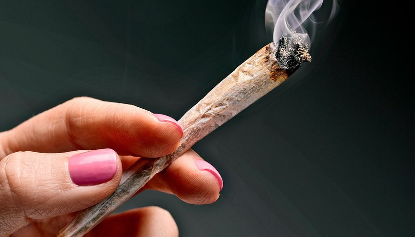  Team links cannabis during pregnancy to childhood cancers
