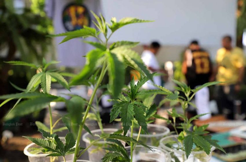  Cholnan signs bill banning recreational use of weed